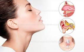 Ear Nose and Throat